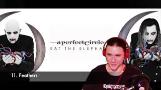 Feathers (A Perfect Circle) - Review/Reaction