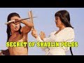 Wu Tang Collection Secret Of Shaolin Poles Widescreen