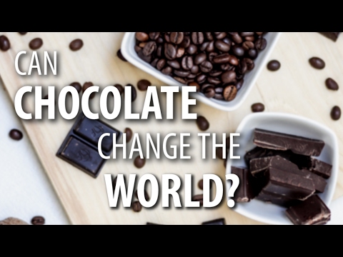 What bean to bar strategies improve the lives of cocoa farmers?