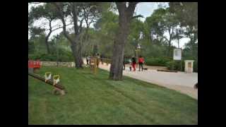 preview picture of video 'PALAGIANELLO: Inaugurazione nuovo parco naturale attrezzato - 15 maggio 2012'