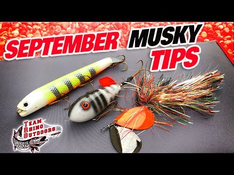 Musky Fishing Basics - September Musky Tips