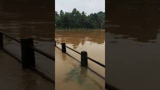preview picture of video 'Kerala floods..  kanniyampuram bridge, Ottapalam'