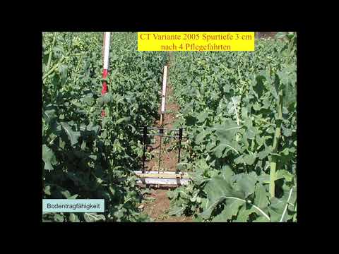 Vortrag Tebrügge 24.2.2019 Gkb Jahrestagung, Ergänzungen Klümper