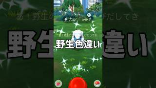 GOフェス野生の色違い結果 #ポケモンgo #shorts