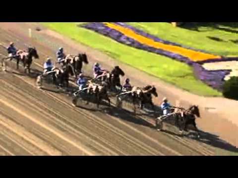 Fyraåringseliten Club Grand Prix 2010 -I Won't Dance