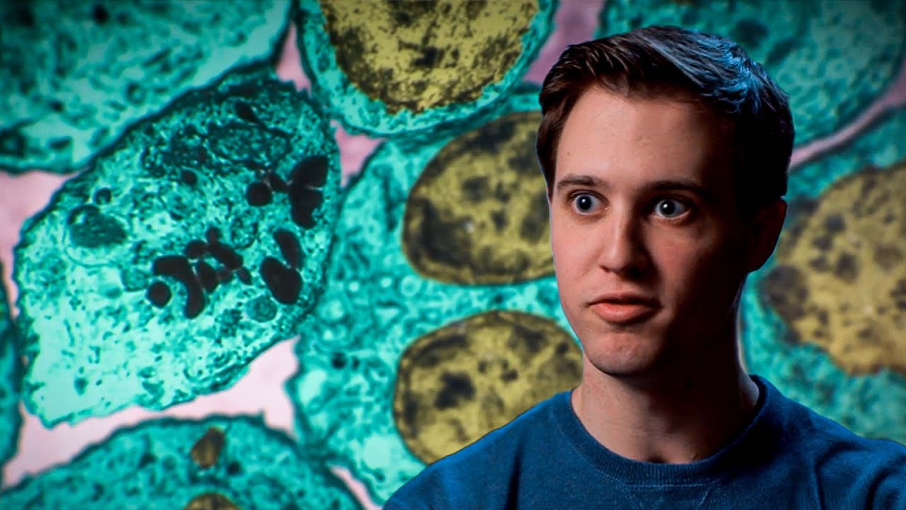 Un virus pior do que a mononucleosis | Parasitas Assassinos | Discovery Brasil