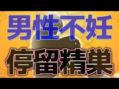 停留精巣について詳しく解説