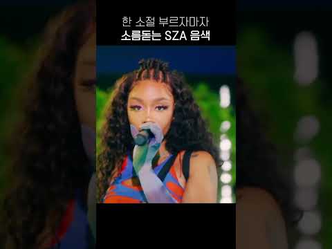 한 소절 부르자마자 소름돋는 SZA 음색 미쳤다...