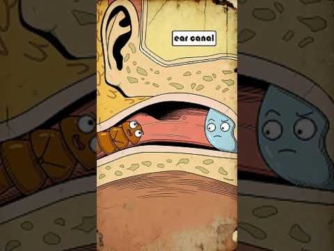 Nie zakładaj losowo zatyczek do uszu do spania!#shorts