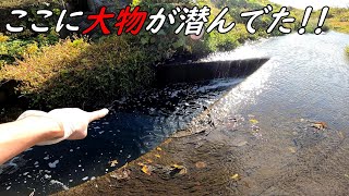 ここにミミズを落としたら大物が喰い付いてきた！！