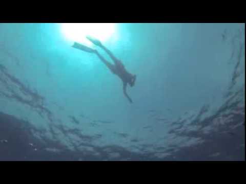 Daniel Landa Žito Lagu DEMO