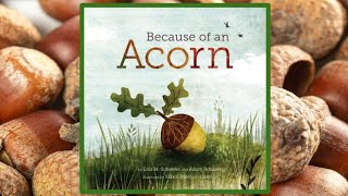 🌳  Because of an Acorn Read Aloud
