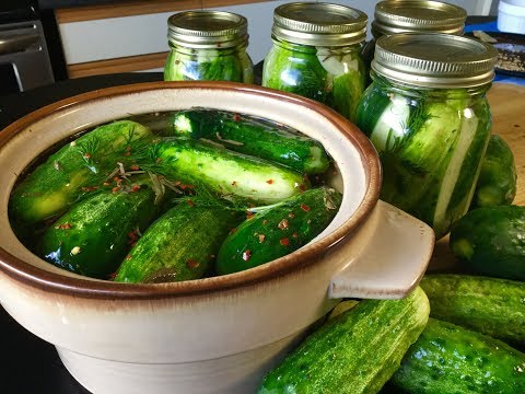 How To Make Fermented Probiotic Pickles