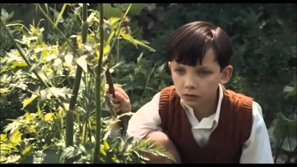 RESUMO ESCOLAR   O MENINO DE PIJAMA LISTRADO