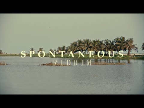 Sinky Beatz - Spontaneous Riddim (Reggae Roots Instrumental)