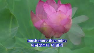 Am I That Easy to Forget? - Marty Robbins: with Lyrics(가사번역)|| 신사임당의 초충도(草蟲圖)화단 2017년 8월 12일