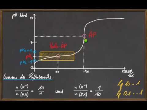 Q12 Säure - Base- Puffer
