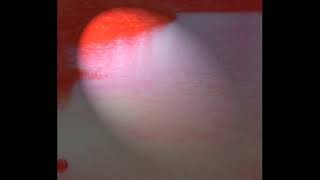 H.P.  Lovecraft - Mobius Trip