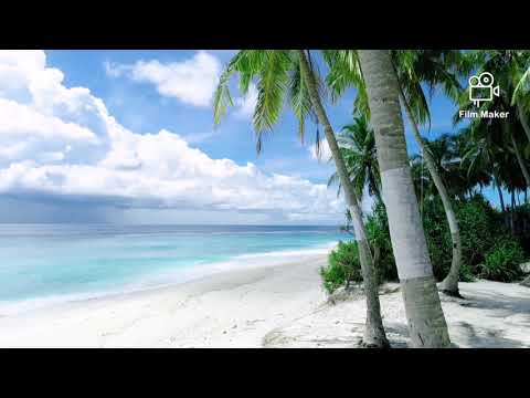 Buddha Bar - Oriental Alibaba Karunesh