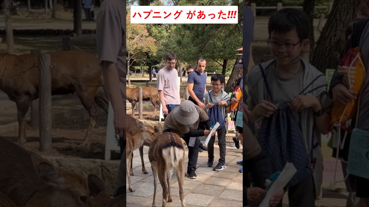 [これは日本です!!]初めて奈良公園で鹿を見た外国人観光客の反応！#新幹線#外国人#日本