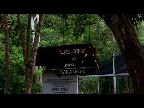 First Trip: Suatu Saat Kita Akan Cerita Tentang Hari Ini