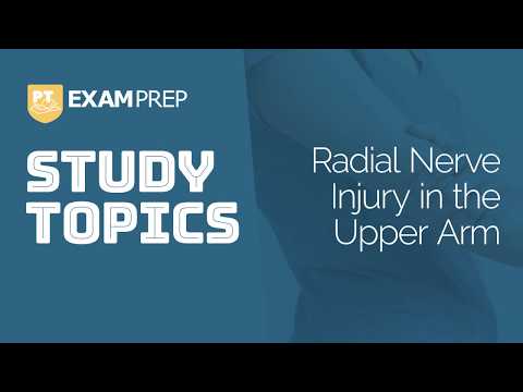 Study Topics: Radial Nerve Injury in the Upper Arm