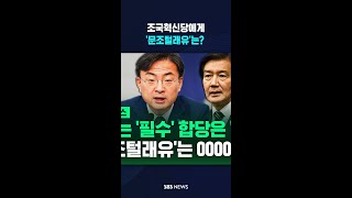 조국혁신당에게 '문조털래유' 프레임은?..신장식 "정치공작"/ #shorts