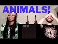 TALKING HEADS ANIMALS (reaction)