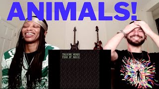 TALKING HEADS ANIMALS (reaction)