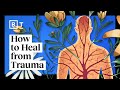6 ways to heal trauma without medication | Bessel van der Kolk | Big Think