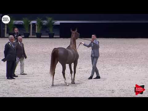 N.43 EMANOLLA - Paris 2018 - Junior Fillies (Class CM 2B)