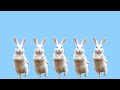 Bunny Counting Song | ITTY BITTY BEATS | Funny Kids Song | Kids Songs and Nursery Rhymes