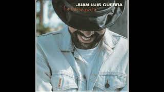 La hormiguita Juan Luis Guerra