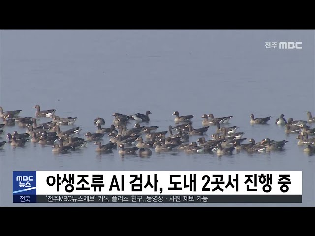 야생조류 AI 검사, 도내 2곳서 진행 중