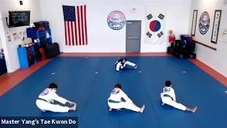 Live Class - Green Belt - 6.18.20 @ 5:15pm