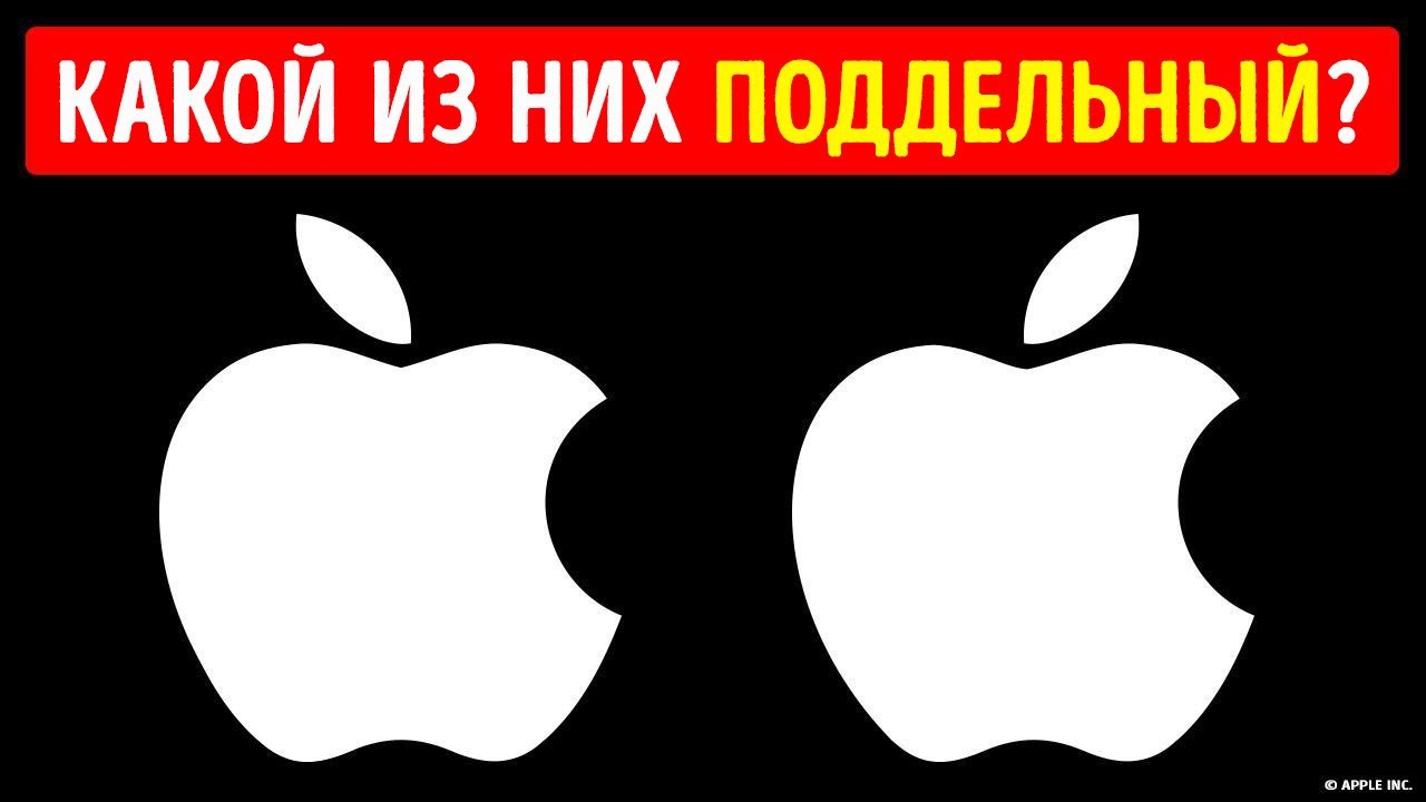 16 загадок, которые покажут, насколько вы внимательны