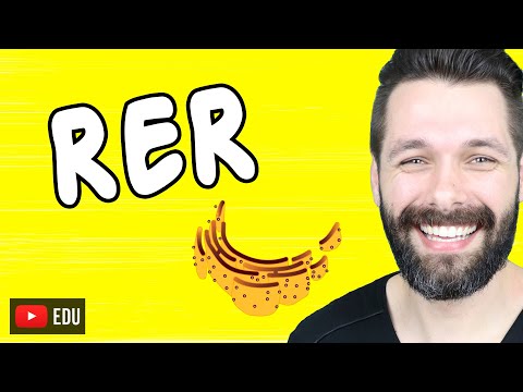 RETÍCULO ENDOPLASMÁTICO RUGOSO OU GRANULAR | Biologia com Samuel Cunha