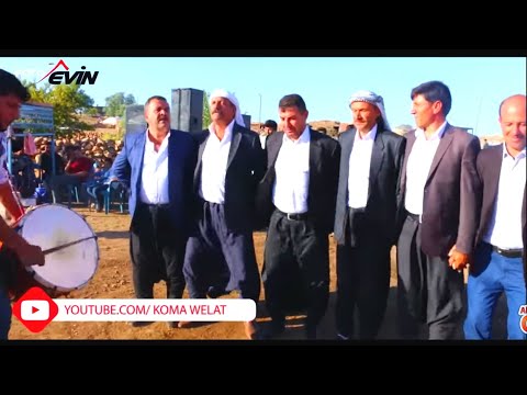 ŞEVKO HALAYIN ŞOVALYELERİ!!!