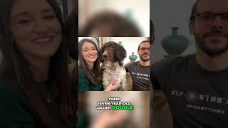 Surprising Appetite:  Golden Doodle Devours $4,000 Cash!