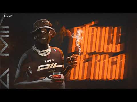 MEGA FUNK - PITBULL DE RAÇA - DJ Machado SC