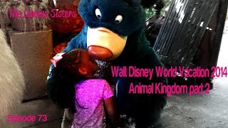 preview picture of video 'Walt Disney World Vacation 2014 | Animal Kingdom part 2 | Episode 73'