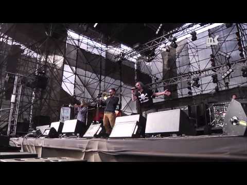 Rocking The Daisies 2013: Hog Hoggidy Hog - Live Performance