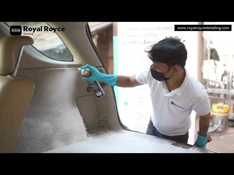 Detailing Perfection: Unmatched Service to Enhance and Protect Your Car's Beauty.