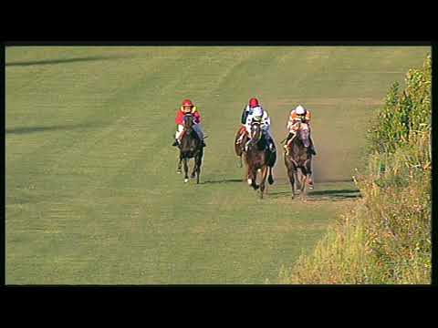 Galoppo 19/08/2020 - 2ª corsa