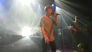 Racoon - Liverpool rain