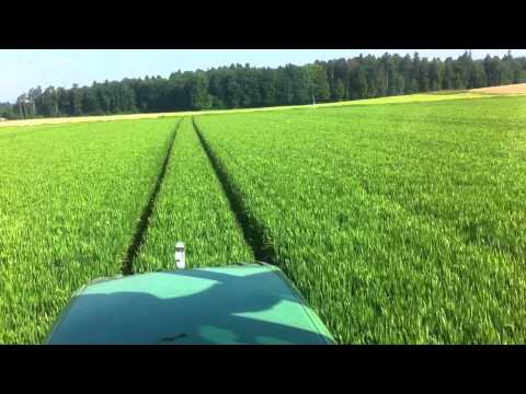 Winterweizen Fungizidbehandlung