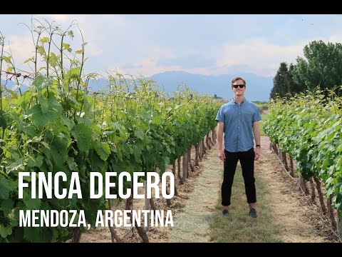 Ein argentinisches Weingut | Finca Decero