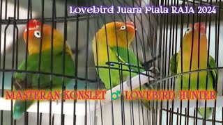 Download lagu MASTER Lovebird jantan KONSLET Nada MINOR ♂️ Lovebird HUNTER Juara Piala RAJA '24 mp3