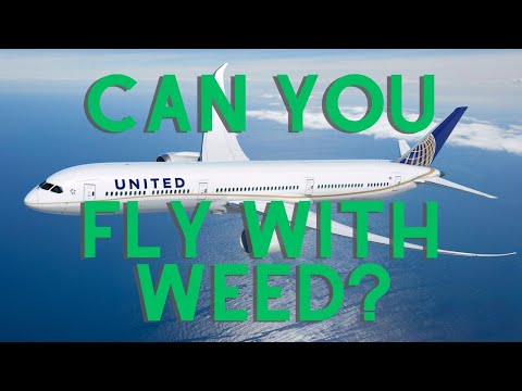 Flying High - CAN YOU BRING WEED ON A PLANE? TSA rules for marijuana and THC for flying