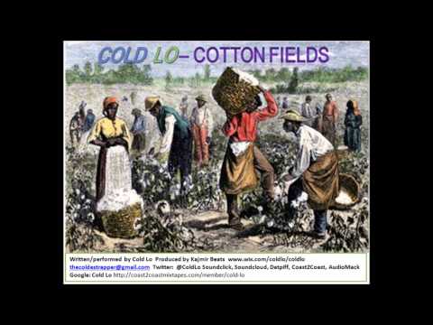 Cold Lo - Cotton Fields